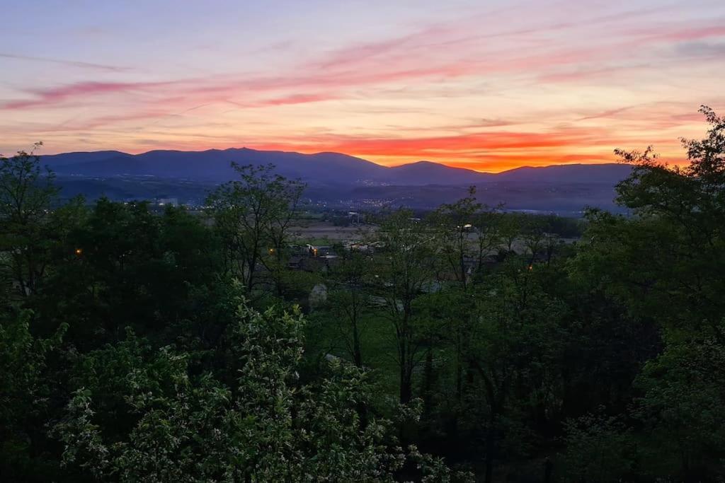 Gite De 70M² Avec Vue Sur Le Massif Du Pilat Clonas-sur-Vareze 외부 사진