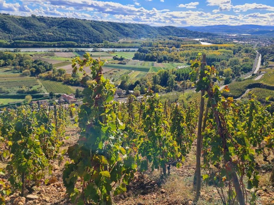Gite De 70M² Avec Vue Sur Le Massif Du Pilat Clonas-sur-Vareze 외부 사진
