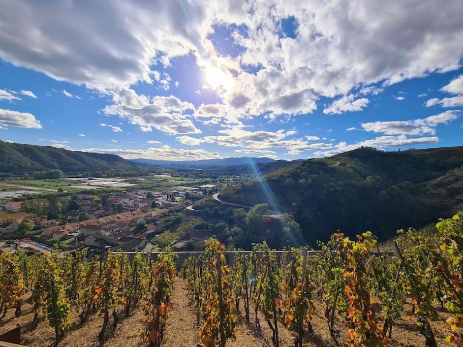 Gite De 70M² Avec Vue Sur Le Massif Du Pilat Clonas-sur-Vareze 외부 사진