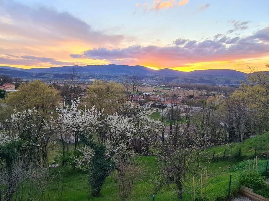 Gite De 70M² Avec Vue Sur Le Massif Du Pilat Clonas-sur-Vareze 외부 사진