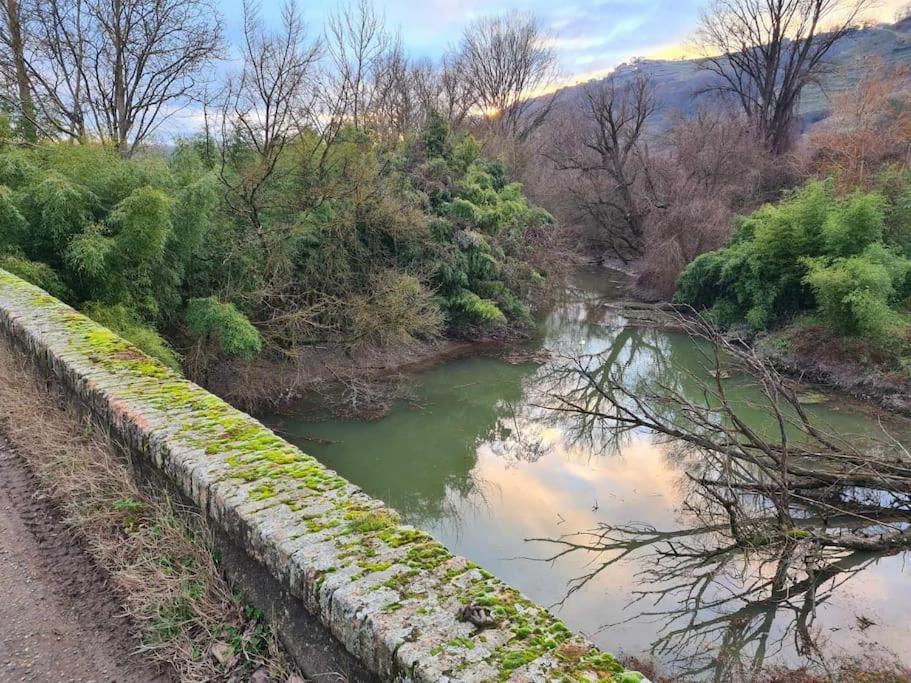Gite De 70M² Avec Vue Sur Le Massif Du Pilat Clonas-sur-Vareze 외부 사진