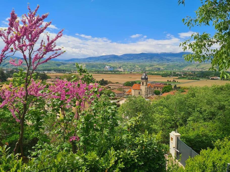 Gite De 70M² Avec Vue Sur Le Massif Du Pilat Clonas-sur-Vareze 외부 사진